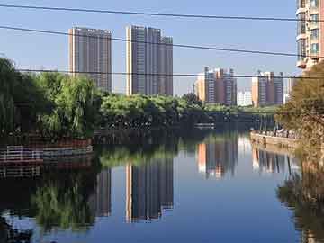 王中王馬會(huì)一肖開獎(jiǎng)結(jié)果，深度解析與預(yù)測(cè)，王中王馬會(huì)一肖開獎(jiǎng)結(jié)果深度解析及預(yù)測(cè)報(bào)告