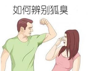 狐臭與腋臭的區(qū)別解析，狐臭與腋臭的區(qū)別深度解析