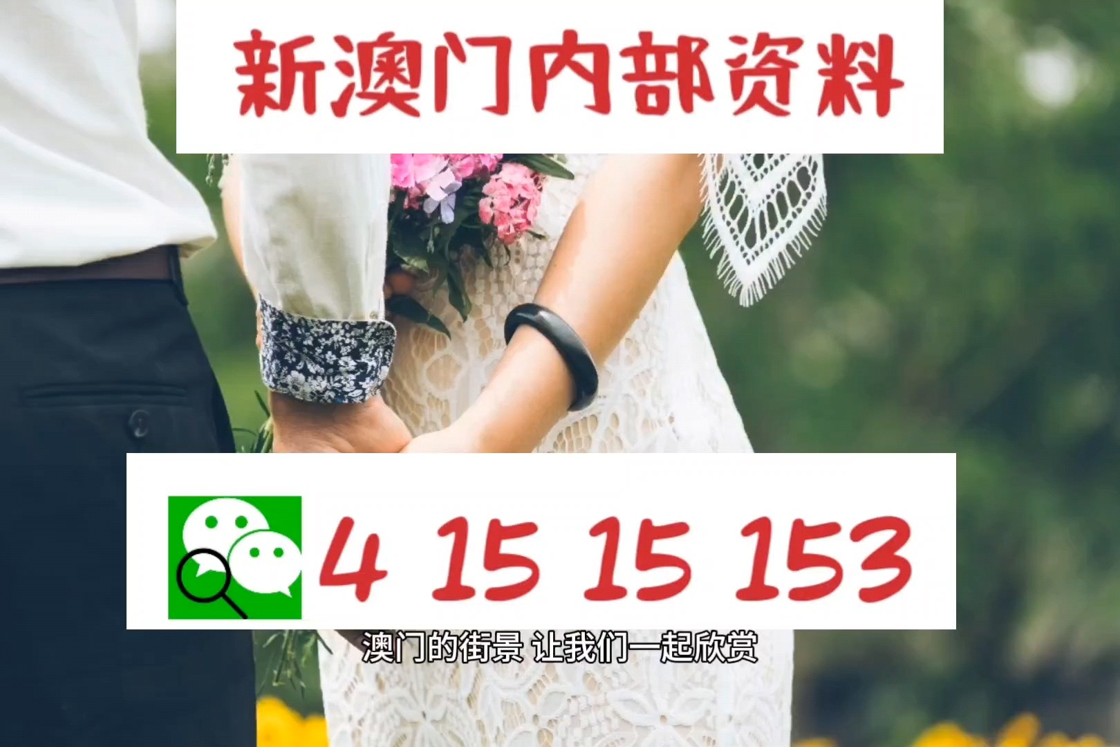 今晚必中一碼一肖澳門，揭秘彩票背后的秘密，揭秘彩票背后的秘密，澳門今晚必中一碼一肖預(yù)測(cè)