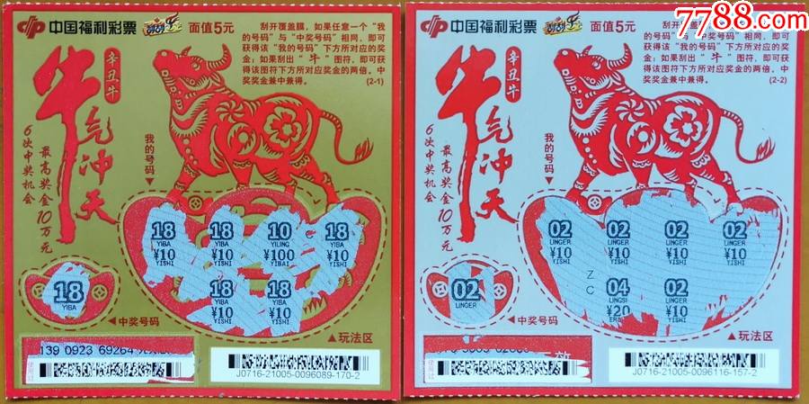 林中高手王中王，揭秘生肖傳奇，揭秘生肖傳奇，林中高手王中王傳奇故事