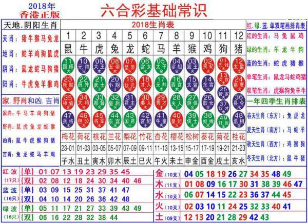 探索未來(lái)的奧秘，2025新澳門(mén)生肖卡，揭秘未來(lái)奧秘，2025新澳門(mén)生肖卡探秘