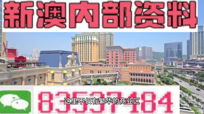 新澳門(mén)料，探索其魅力與奧秘，澳門(mén)新魅力，揭秘其獨(dú)特魅力與奧秘