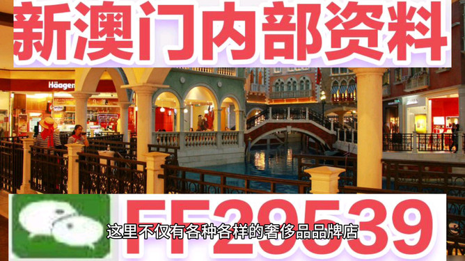 澳門未來(lái)展望，2025年的澳門展望，澳門未來(lái)展望，展望2025年澳門發(fā)展藍(lán)圖