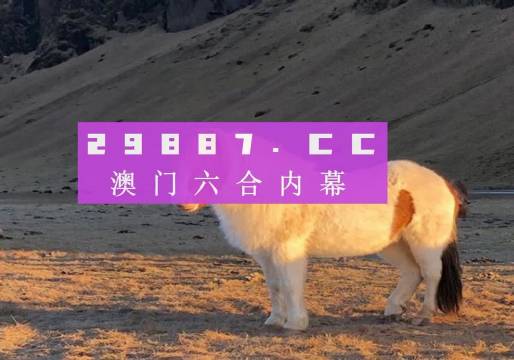探索與沉浸式體驗(yàn)