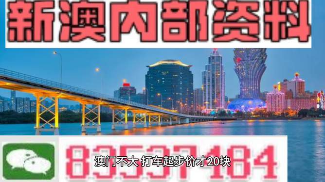 探索澳門未來，2025年新澳門攪珠歷史展望，澳門未來展望，探索新澳門攪珠歷史，2025年展望新篇章