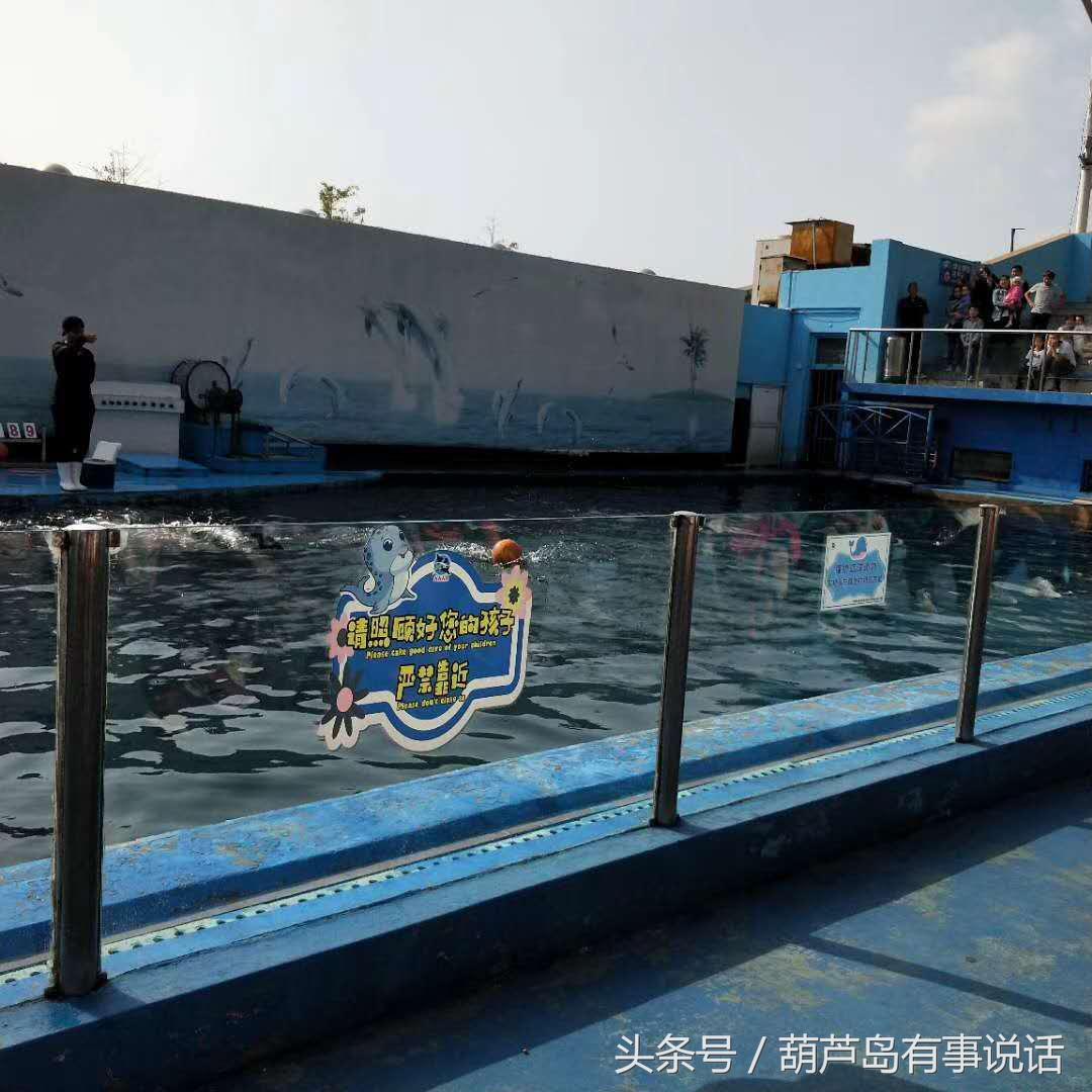 揭秘9點30分彩新澳，全方位解讀彩票新玩法，揭秘9點30分彩新澳，全方位解讀彩票新玩法攻略