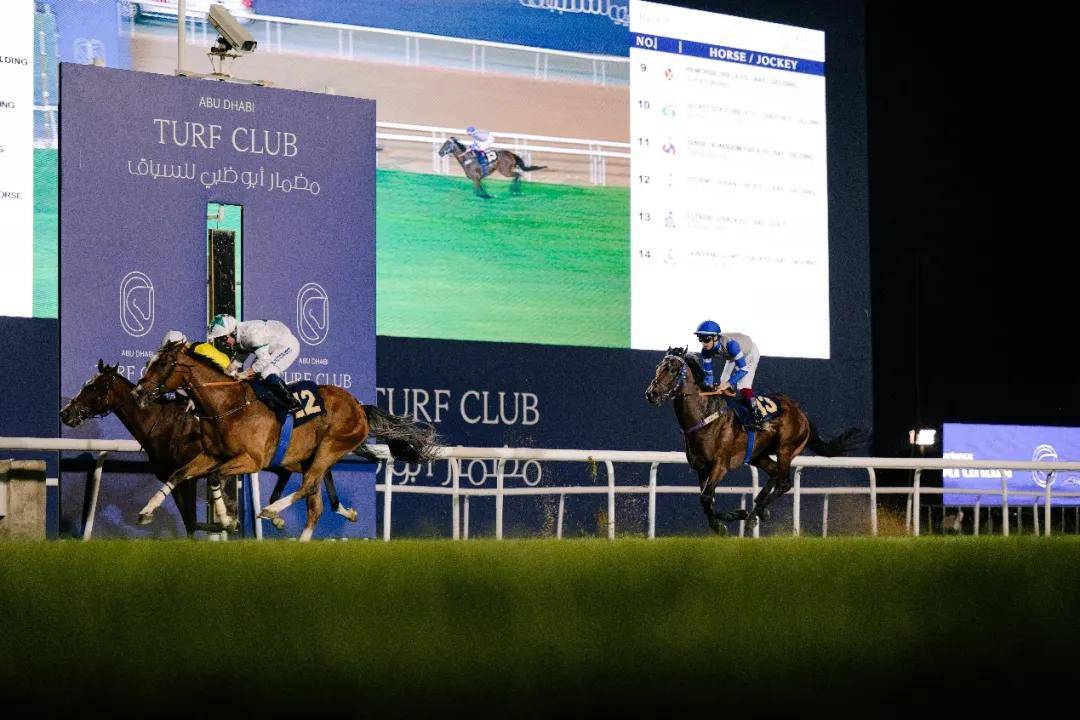 澳門特馬今晚開獎一，探索彩票背后的秘密與期待，澳門特馬今晚開獎，揭秘彩票背后的秘密與期待大獎的激動心情