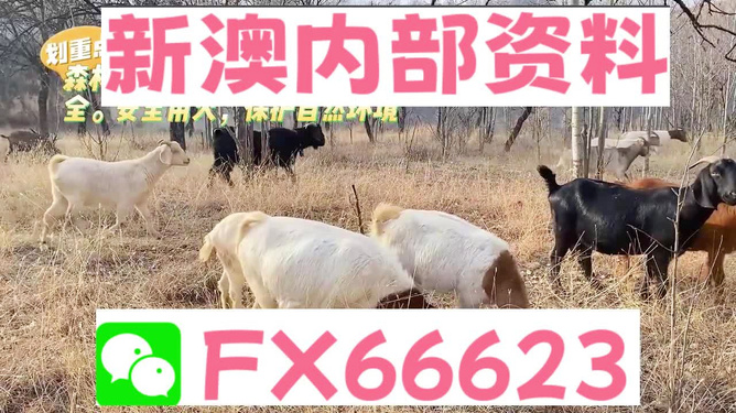 2005新澳正版兔費大全