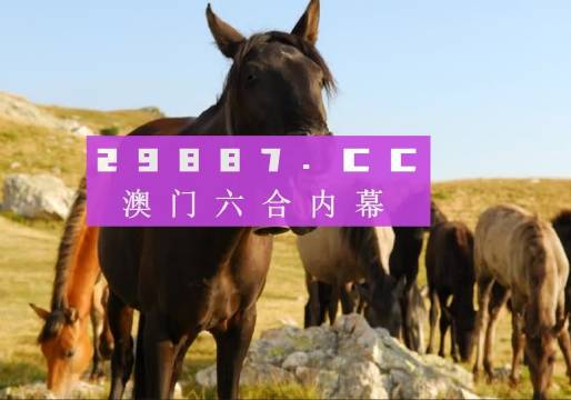 管家婆2025年澳門最精準免費大全，預測與策略分析，管家婆2025年澳門精準預測與策略分析大全（免費版）