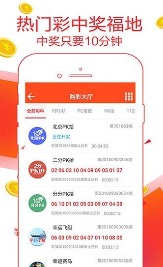 王中王一肖論，深度探索與SEO優(yōu)化策略，王中王一肖論，深度探索與SEO優(yōu)化策略詳解