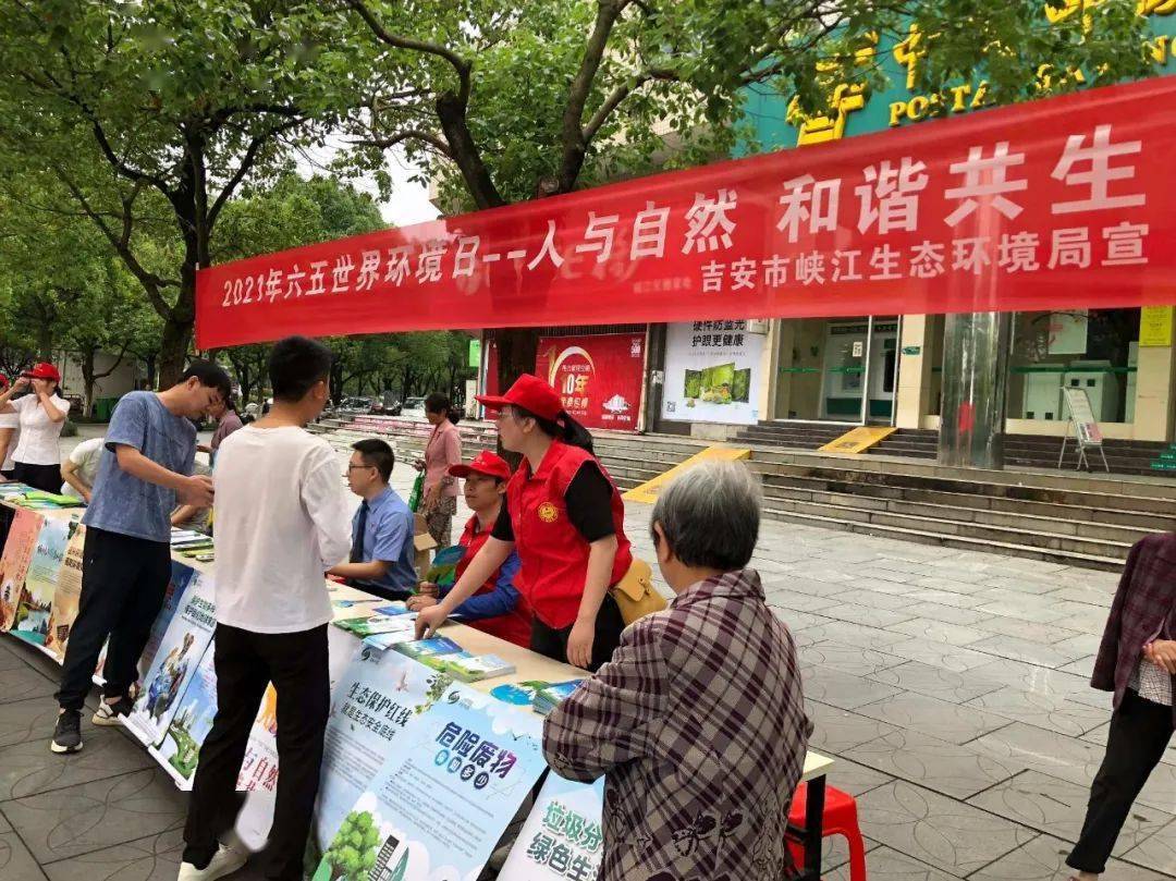 六月五號澳門開獎結(jié)果全面解析，六月五號澳門開獎結(jié)果深度解析