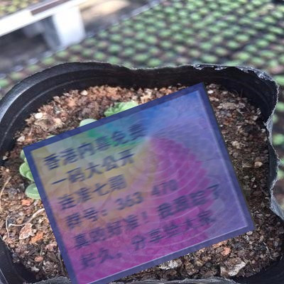 關(guān)于三肖賠多少錢的全面解析，三肖賠款金額全面解析