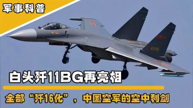 殲-11BG戰(zhàn)斗機(jī)，揭秘其所屬檔次與卓越性能，揭秘殲-11BG戰(zhàn)斗機(jī)所屬檔次與卓越性能特點(diǎn)
