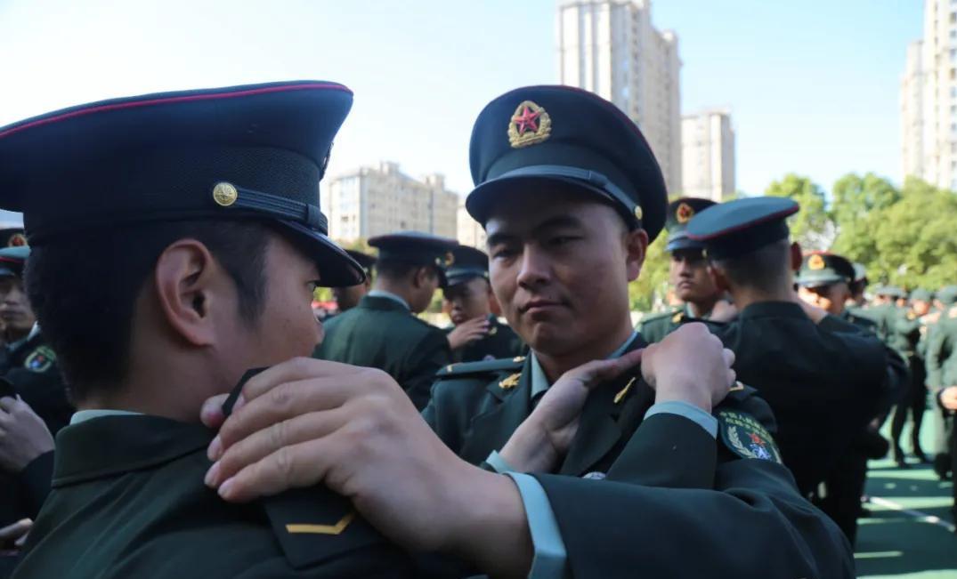 關(guān)于大學(xué)生入伍政策的深度解讀，2020年最新動(dòng)態(tài)與趨勢(shì)分析，深度解讀大學(xué)生入伍政策，最新動(dòng)態(tài)與趨勢(shì)分析（2020年）