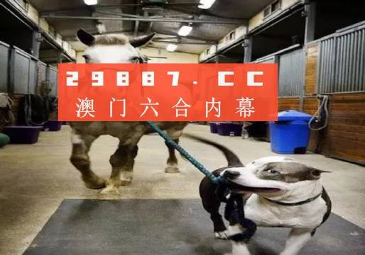 澳門一肖一碼一必中一肖，同舟前進的奧秘與策略，澳門一肖一碼必中策略與前進奧秘，同舟共濟的揭秘與策略