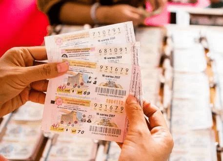 揭秘香港平特一肖——探尋王中王的獨(dú)特策略，揭秘香港平特一肖之王中王獨(dú)特策略揭秘