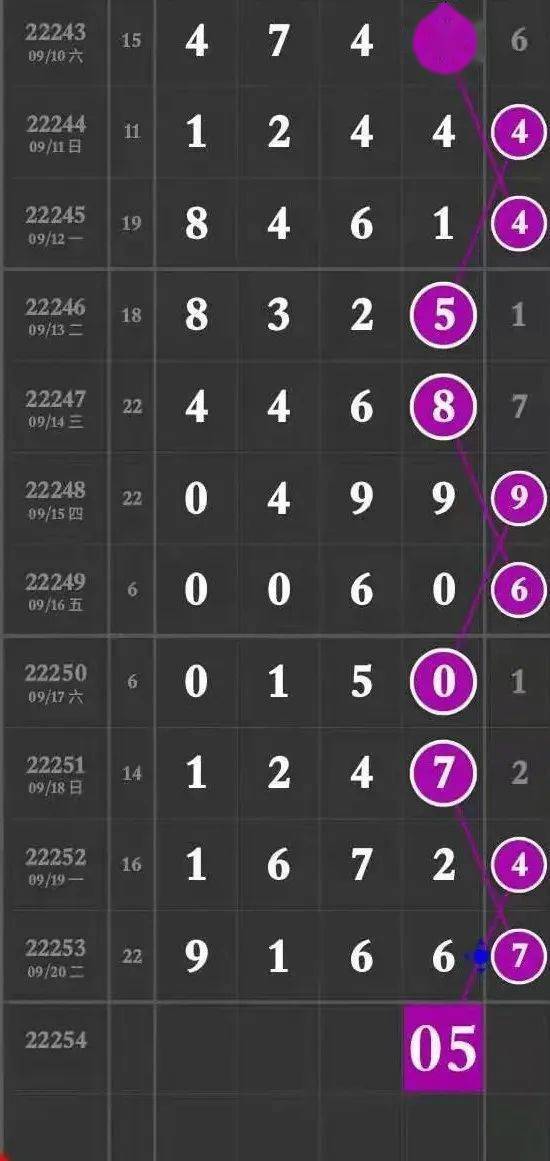 揭秘64407王中王主一肖，神秘數(shù)字背后的故事，揭秘64407王中王主一肖，神秘數(shù)字背后的傳奇故事