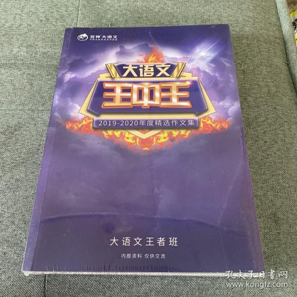 揭秘2019王中王資料一肖，傳奇背后的故事，揭秘傳奇背后的故事，王中王資料一肖探秘（2019版）