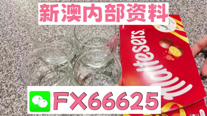 澳門(mén)49圖正版資料，探索正版數(shù)據(jù)資料的魅力與價(jià)值，澳門(mén)正版資料探索，數(shù)據(jù)資料的魅力與價(jià)值揭秘
