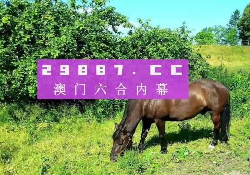 澳門芳草地一肖一碼，探索與解析，澳門芳草地一肖一碼，深度探索與解析