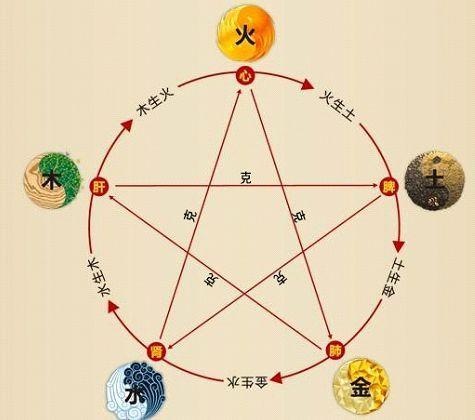 鐵算算盤4887最準資料，揭秘精準算盤的秘密，揭秘鐵算算盤4887，精準預(yù)測的秘密資料分享