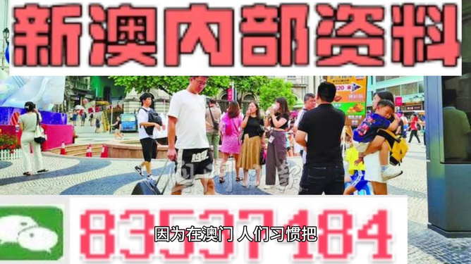 新澳2025精準(zhǔn)正版免費(fèi)——探索未來(lái)彩票的新機(jī)遇，新澳2025精準(zhǔn)正版免費(fèi)，彩票新機(jī)遇探索之旅
