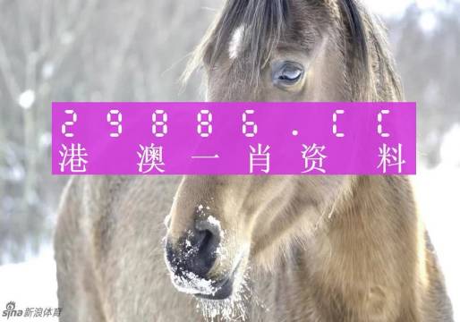 澳門一肖一碼背后的故事，揭秘精準(zhǔn)預(yù)測背后的秘密，澳門一肖一碼揭秘，精準(zhǔn)預(yù)測背后的神秘故事