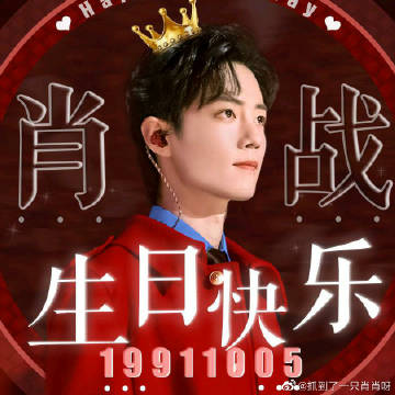 一肖一碼一一肖一子善，探尋命運之謎與生肖之魅力，生肖魅力與命運之謎探尋，一肖一碼一子善的奧秘