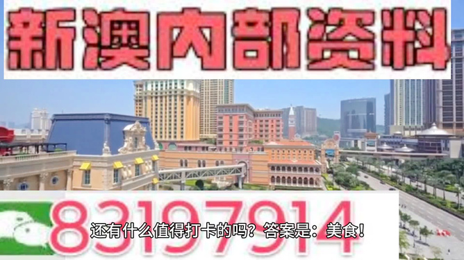新澳門精準(zhǔn)800圖庫(kù)，探索與解析，新澳門精準(zhǔn)800圖庫(kù)，深入探索與詳細(xì)解析