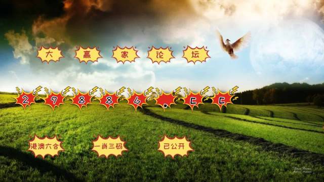 澳門彩之www.04812com探索與體驗(yàn)，澳門彩之www.04812com，探索與沉浸式體驗(yàn)