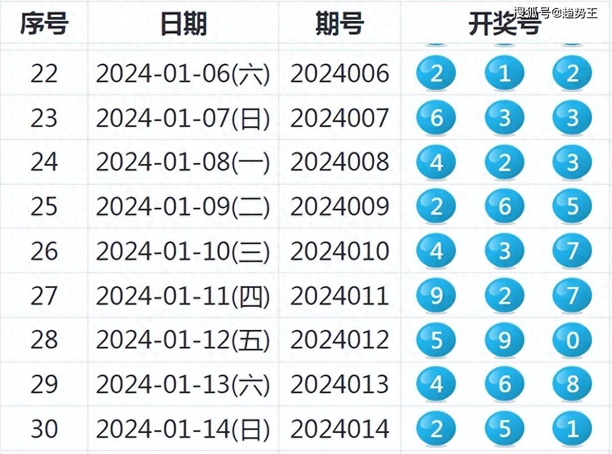 2025年開獎記錄揭秘
