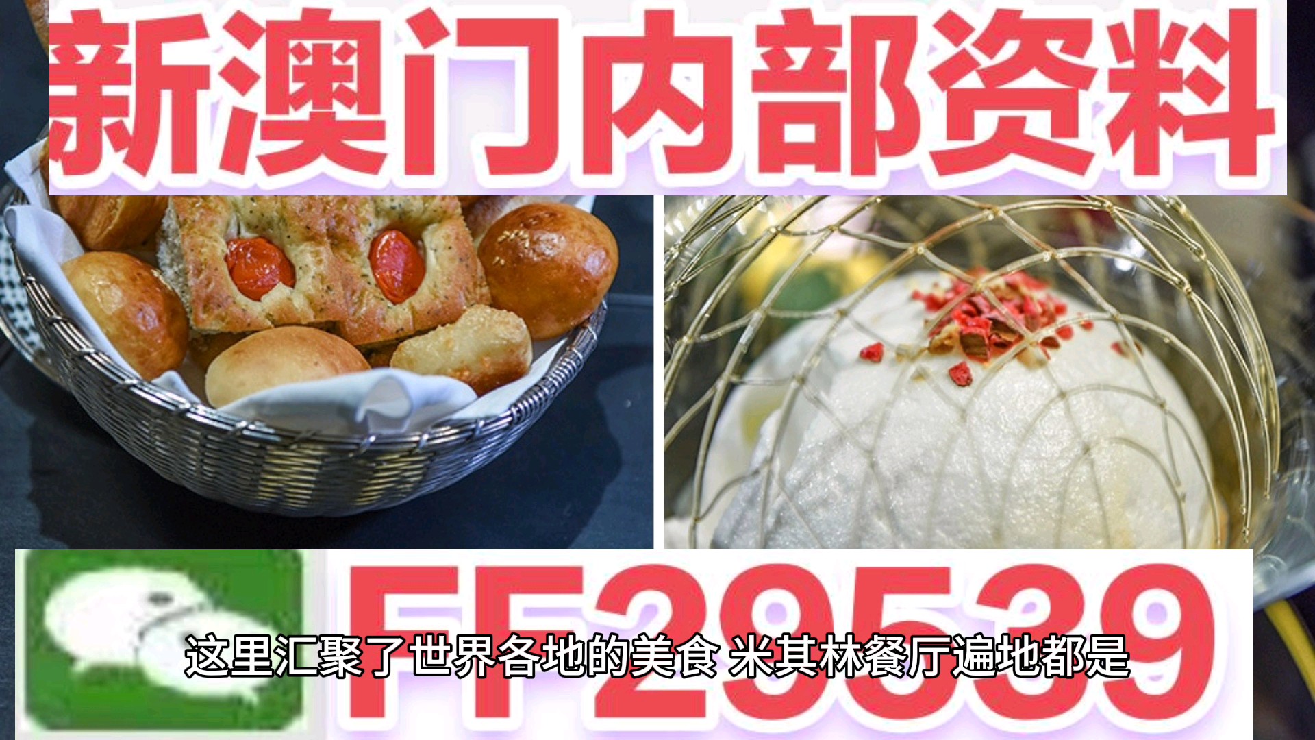 澳門碼今晚開的資料，探索數(shù)字世界的秘密與機(jī)遇，澳門碼數(shù)字探索，揭秘今晚開獎(jiǎng)秘密與機(jī)遇