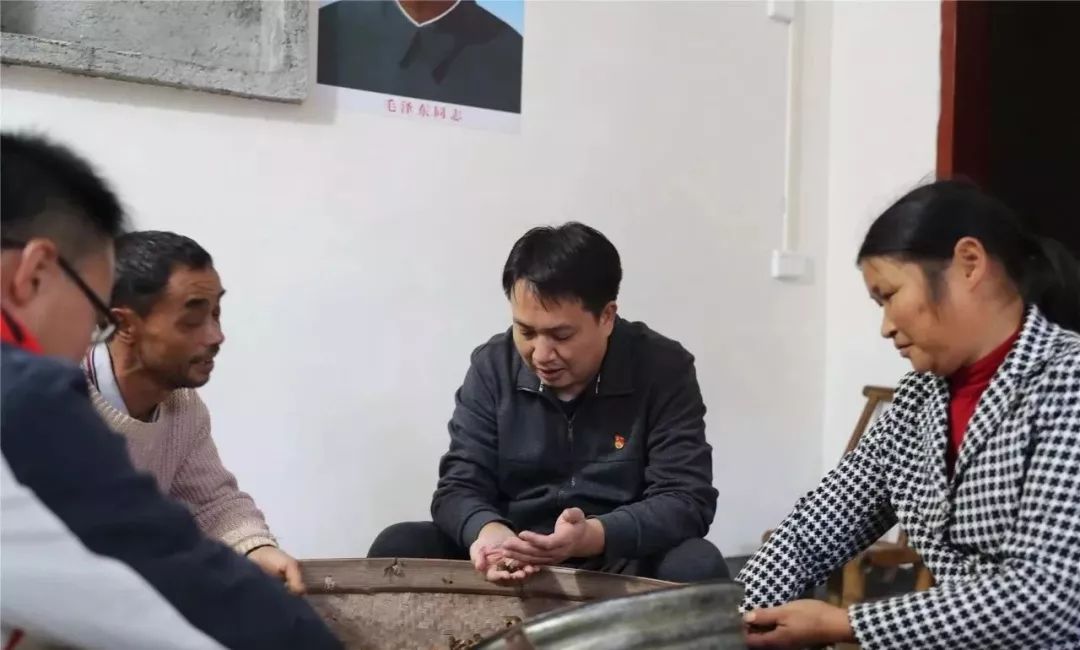 東寨村民委員會最新領(lǐng)導(dǎo)團隊介紹，東寨村民委員會領(lǐng)導(dǎo)團隊介紹
