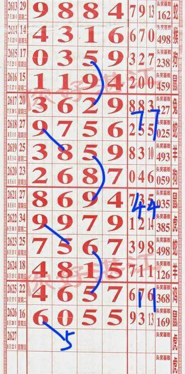王中王鈇箕盤一肖中特，揭秘背后的秘密與策略，揭秘王中王鈇箕盤一肖中特背后的秘密與策略之道