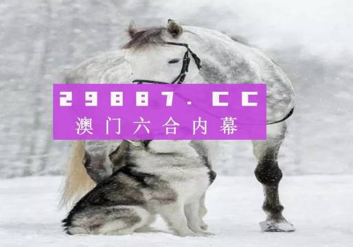 新奧門一肖一馬必中——揭秘彩票背后的秘密與策略，揭秘彩票背后的秘密與策略，新奧門一肖一馬必中技巧探究