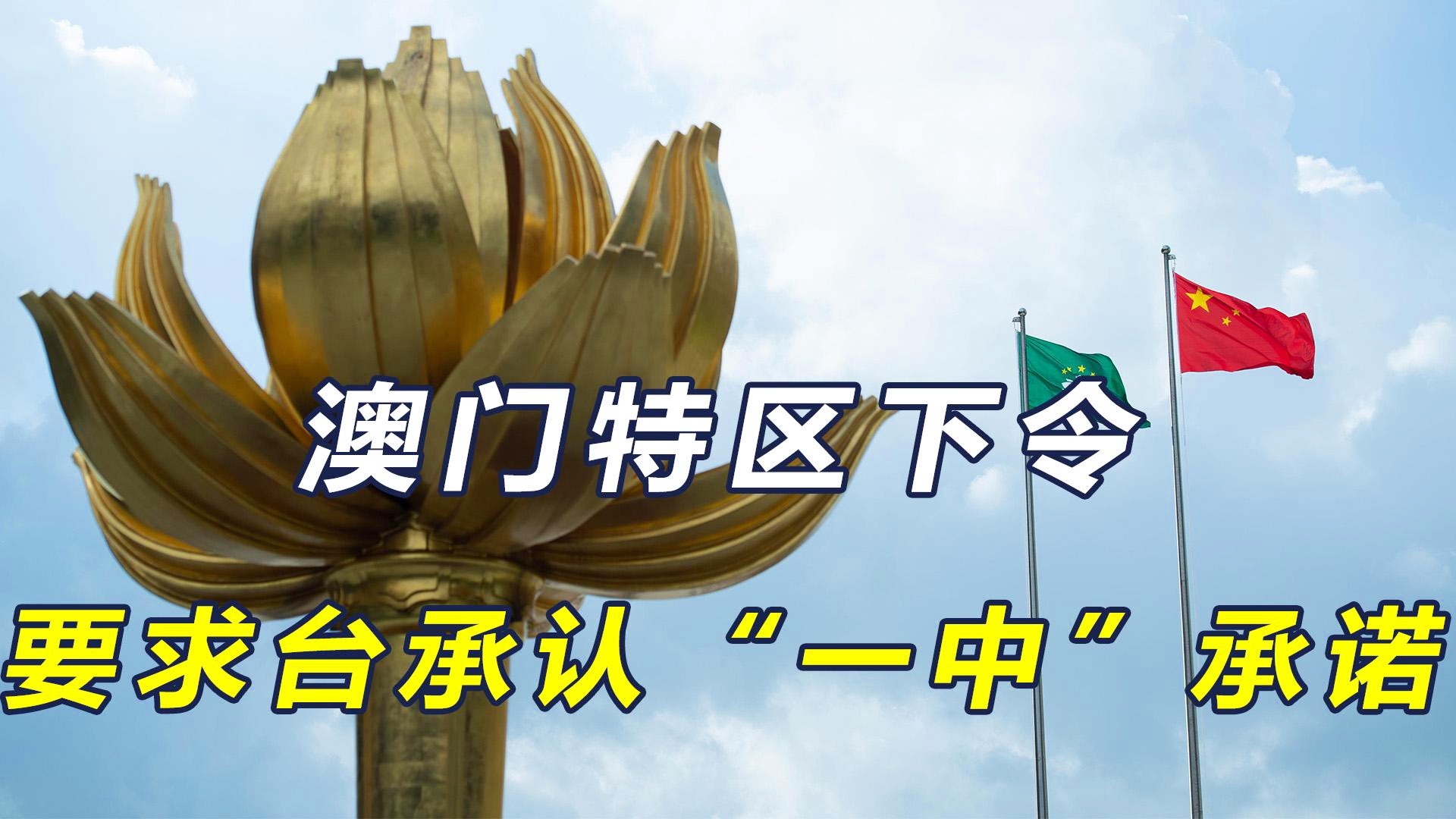 新澳門一肖一特一中，探索與解讀，新澳門一肖一特一中，深度探索與解讀