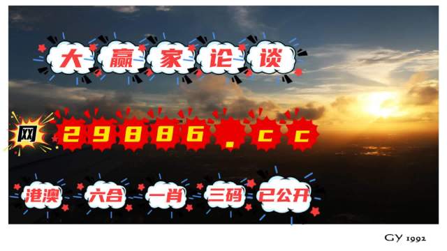 王中王肖一碼資料解析與SEO優(yōu)化策略，王中王肖一碼資料解析與SEO優(yōu)化策略詳解