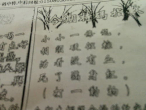 劉伯溫平特一肖四不像，傳奇人物與神秘預(yù)言的解讀，劉伯溫平特一肖四不像，傳奇人物背后的預(yù)言與神秘解讀