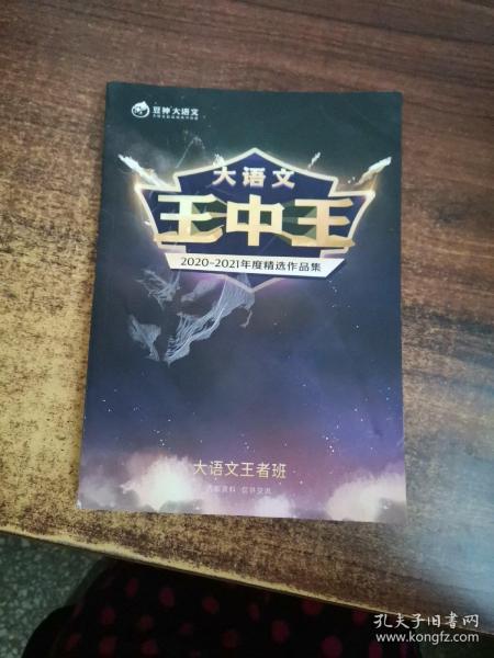 揭秘中王中王資料一肖中特天，深度解析背后的秘密，揭秘中王中王資料背后的秘密，一肖中特天深度解析