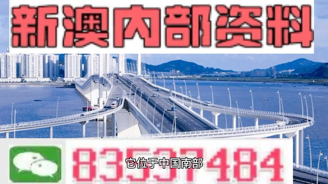 新門內(nèi)部資料精準(zhǔn)大全，揭秘SEO優(yōu)化秘籍，新門內(nèi)部資料揭秘，SEO優(yōu)化秘籍大全