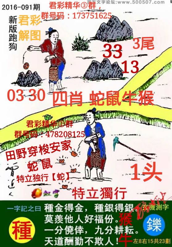 今期澳門老版正版跑狗圖，深度解析與探索，澳門老版正版跑狗圖深度解析與探索揭秘