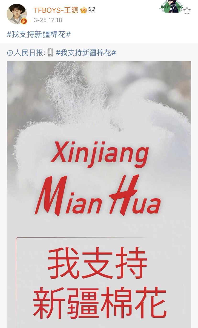 曾夫人王中王精準(zhǔn)一肖，揭秘生肖預(yù)測的神秘面紗，揭秘生肖預(yù)測神秘面紗，曾夫人王中王精準(zhǔn)一肖預(yù)測解析