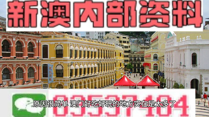 新澳門(mén)最精準(zhǔn)龍門(mén)，探索真實(shí)與精準(zhǔn)的奧秘，新澳門(mén)最精準(zhǔn)龍門(mén)，揭秘真實(shí)與精準(zhǔn)的神秘面紗
