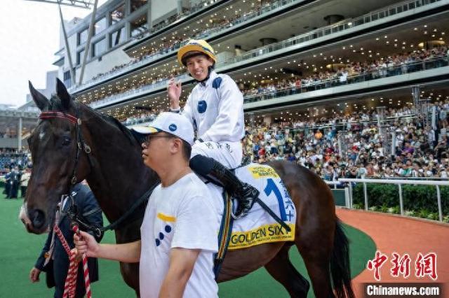 香港特馬王資料免費(fèi)公開，深度解析與探索，香港特馬王資料深度解析與探索，免費(fèi)公開揭秘