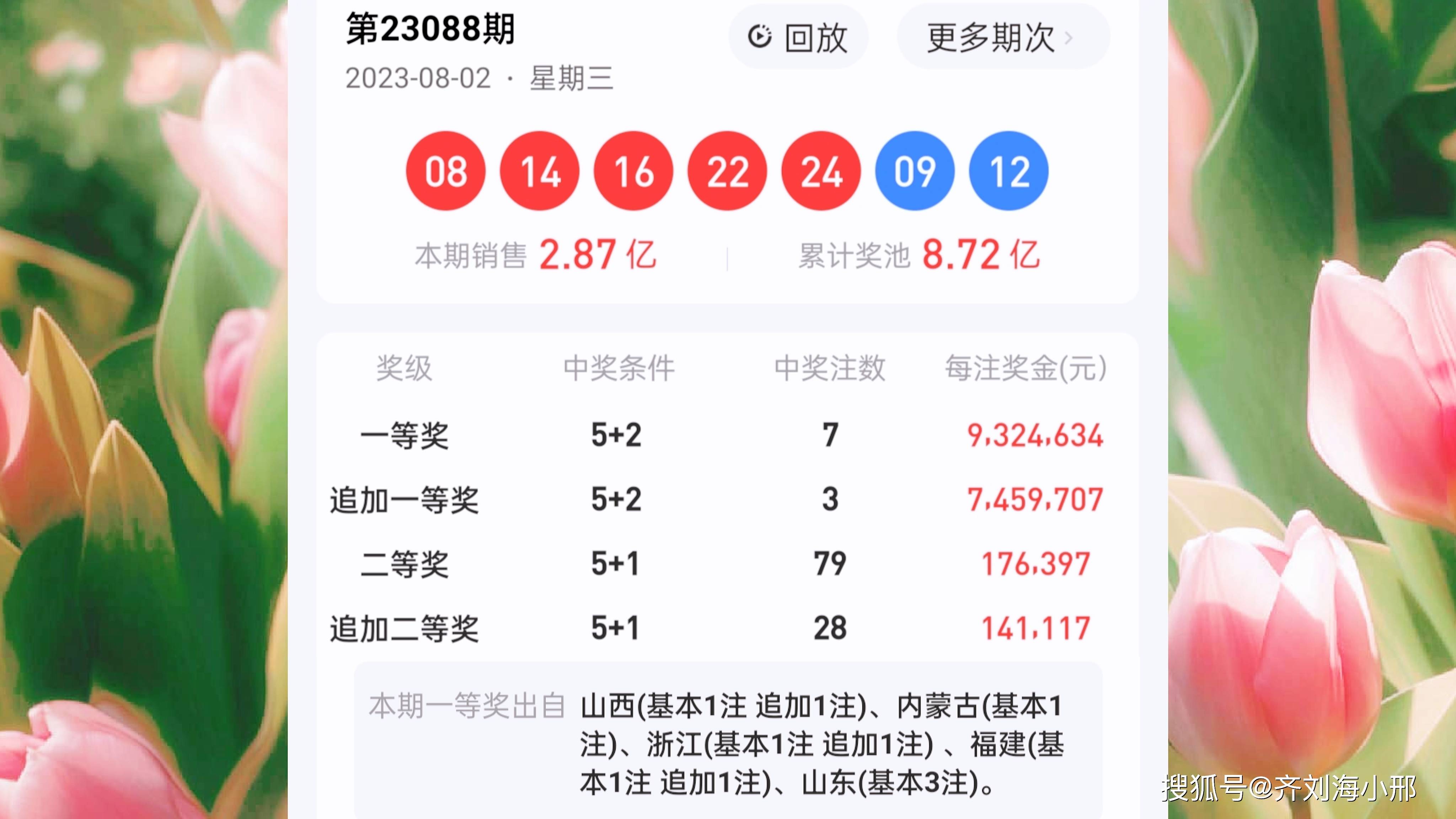 王中王一肖一中今晚開獎號——深度解析彩票背后的秘密，彩票背后的秘密，王中王一肖今晚開獎號碼深度解析