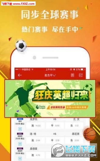 王中王一肖圖，深度解析與SEO優(yōu)化策略，王中王一肖圖深度解析與SEO優(yōu)化策略探討