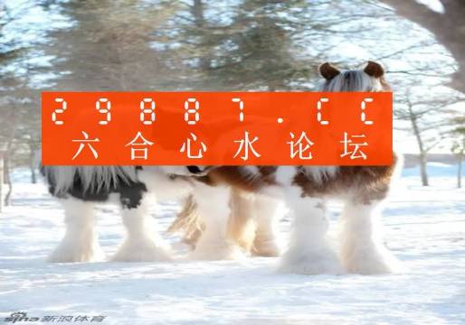 揭秘王中王四不象必中一肖的神秘面紗，揭秘王中王四不象必中生肖的神秘面紗