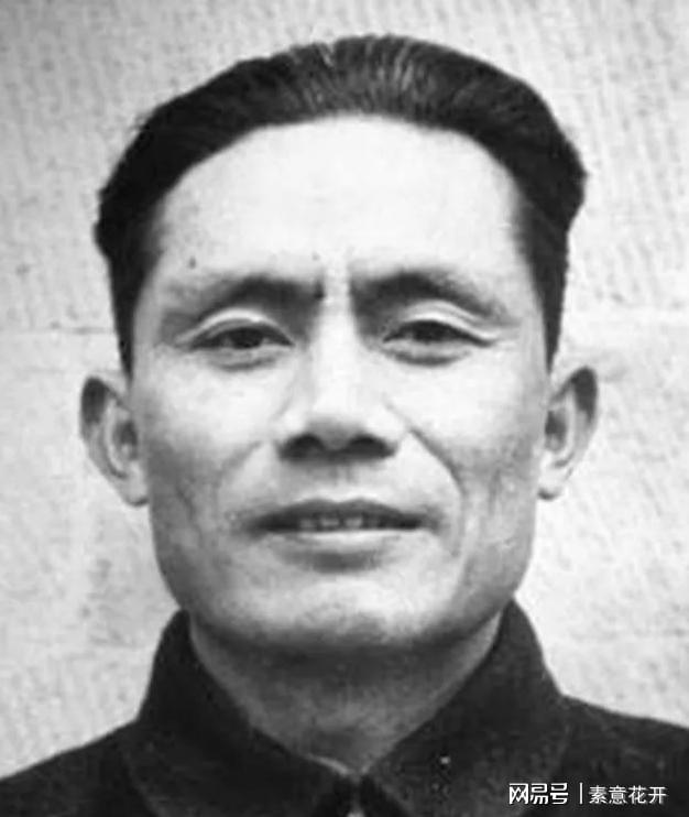 王中王平肖一特，聚焦關鍵詞，深度解析背后的故事，深度解析王中王平肖一特背后的故事與關鍵詞聚焦
