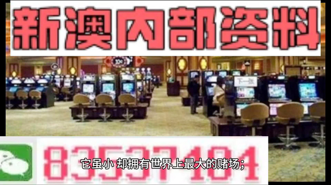 新澳門最精準(zhǔn)，探索澳門的精準(zhǔn)旅游魅力，澳門精準(zhǔn)旅游魅力探索