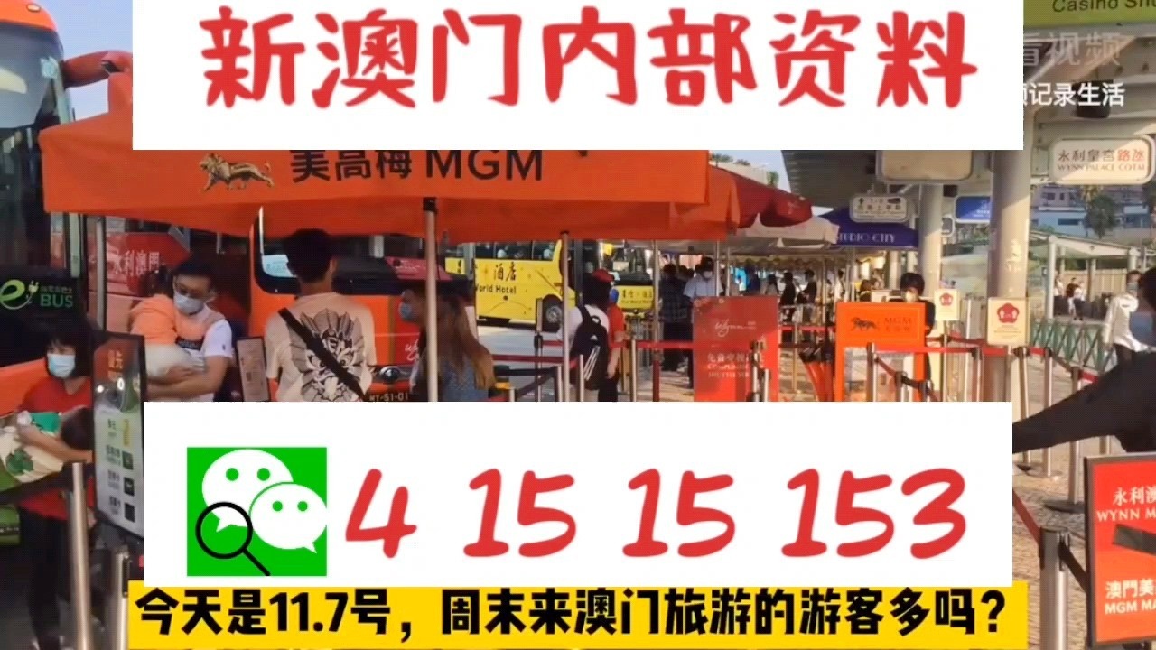 新澳門內部十碼中特，探索與解析，新澳門內部十碼中特，深度探索與解析